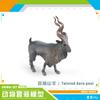 Forest Animal Model Simulation Wildebeest Antelope Big Horn Deer Twist Horn Goat Antelope Static Ornament Toy