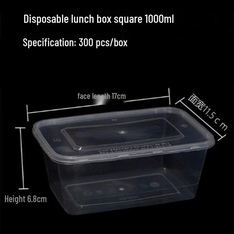 Disposable Transparent Square Lunch Box