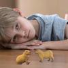 Model Capybara Action Figure Mini Wild Animal Model Water Dolphin Action Figure Capybara Model Toys