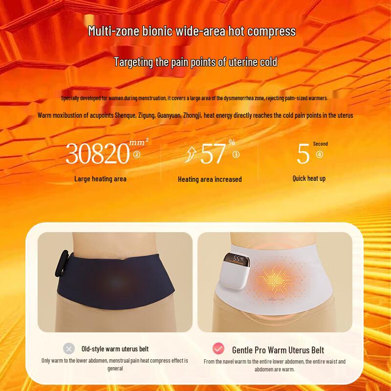Bear Menstrual Relief Heating Pad CN plug (adapter included)