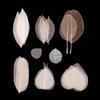 Real Leaf Vein Stickers for DIY Crafts & Painting