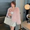 Autumn and winter new imitation mink hair splicing fox hair plush coat short thin imitation fur coat