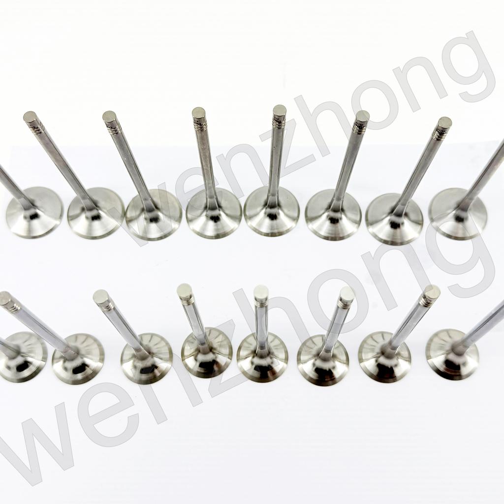 EA888-Gen3 2.0T Engine Intake Valves & Exhaust Stem Seals for A3 A4 A5 Q5 Golf Jetta Beetle Passat CC 06D109611H 06D109601M