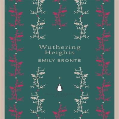 Wuthering Heights by Emily Bronte Paperback Book 9780141199085