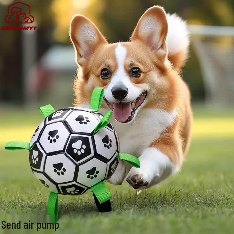 

Dog Training and Interactive Football Toy