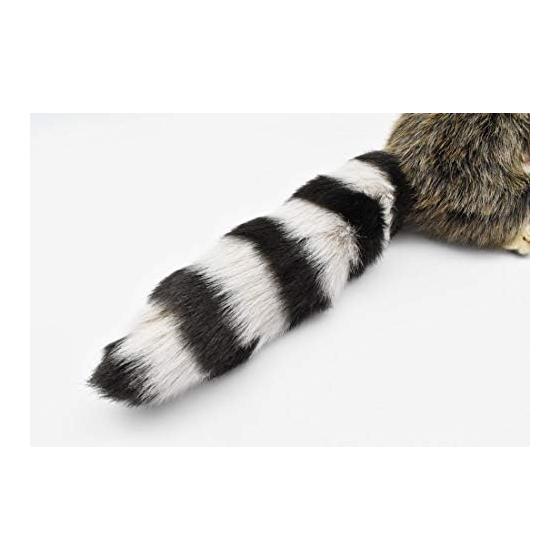 BH4248 HANSA Raccoon 25