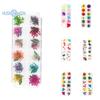1 boks 10g tørket blomst negldekorasjon 12 farger Naturlig blomsterblandet tørrblomst DIY smykker Charms Manikyr dekor UV Gel Polish Nail Art Supplies