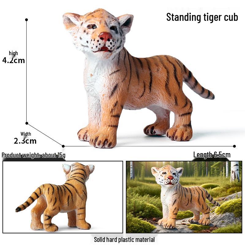 Siberian, Male, African, and White Tiger Cognitive Toy Set for Kids.