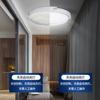 Solar Ceiling Light Indoor Remote Control Aisle Corridor Balcony Light Emergency Portable LED Super Bright Outdoor Courtyard