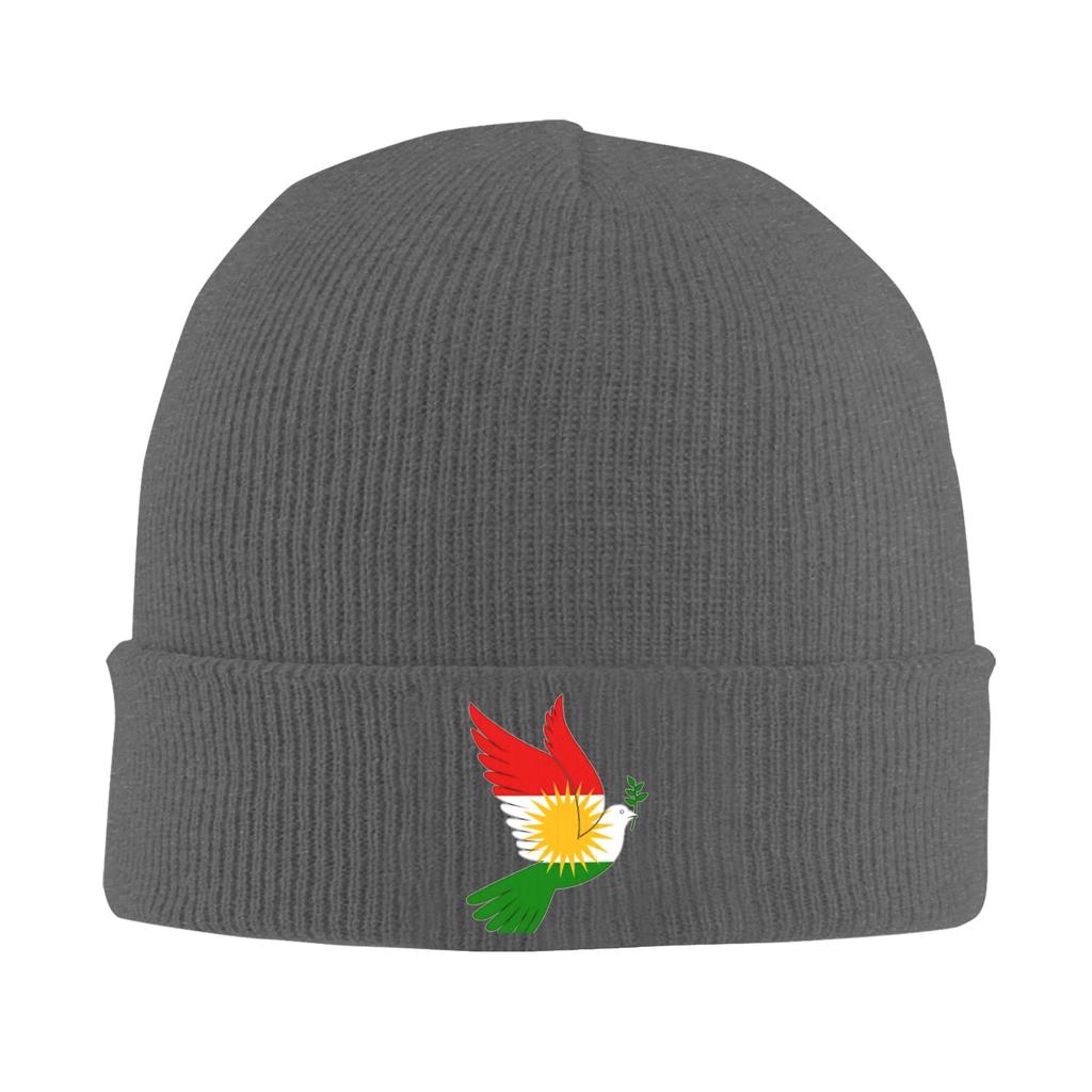 Kurdistan Flagge Mützen Bonnets Männer Frauen Lässig Kpop Mützen Beanies Frühling Design Warm Weich Mützen