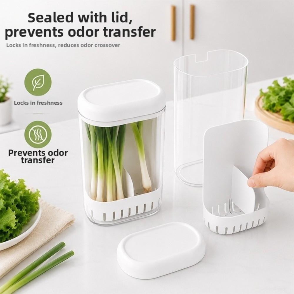 Clear Fresh Keeping Box Scallion Garlic Use Water Culture Container Fridge Storage Box Kitchen Use