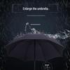 Paradise Straight Handle Umbrella