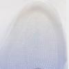 Daiso Cushion Pads For Forelegs  Pack Of 2