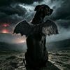Back Worn Dog Costume Wings Lightweight PET Wings Premium Dog Wing Clothing  Halloween