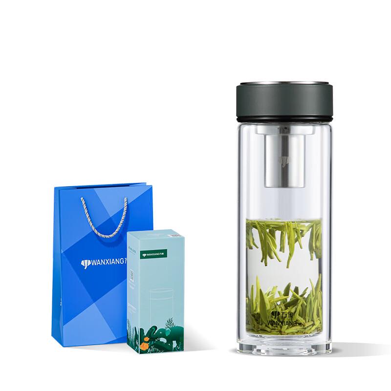 Portable Double-Wall Borosilicate Glass Mug