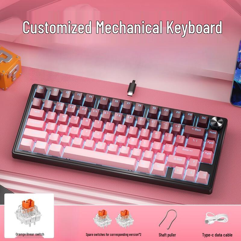 OLOEY Compact 60% RGB Custom Mechanical-Feel Keyboard