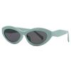 New Arrival Small Cat Eye Sunglasses Women Oval Vintage Brand Elliptic Square Sun Glasses for Female Shades Female Eyewear