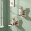 Produse pentru animale – Mobilier pentru animale de companie