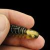 Artificial Soft Lures Worm Baits Wobbler  T Tail Soft Baits Paddle Tail Swimbaits Fishing Tackle Lures Enduring