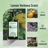 SEVEN PLUS Lemon Verbena Fragrance Refreshing Shampoo