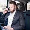 Quick Install Car Headrest Covers Bear Or Themes Strong Polyester Component Elegant Interior Accessories for Car