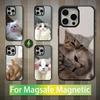 Cute Animals Cat For iPhone Mini,13,Max,11,15,17,14,Plus,12,Pro,16,For Magsafe,Magnetic Wireless Charging Case
