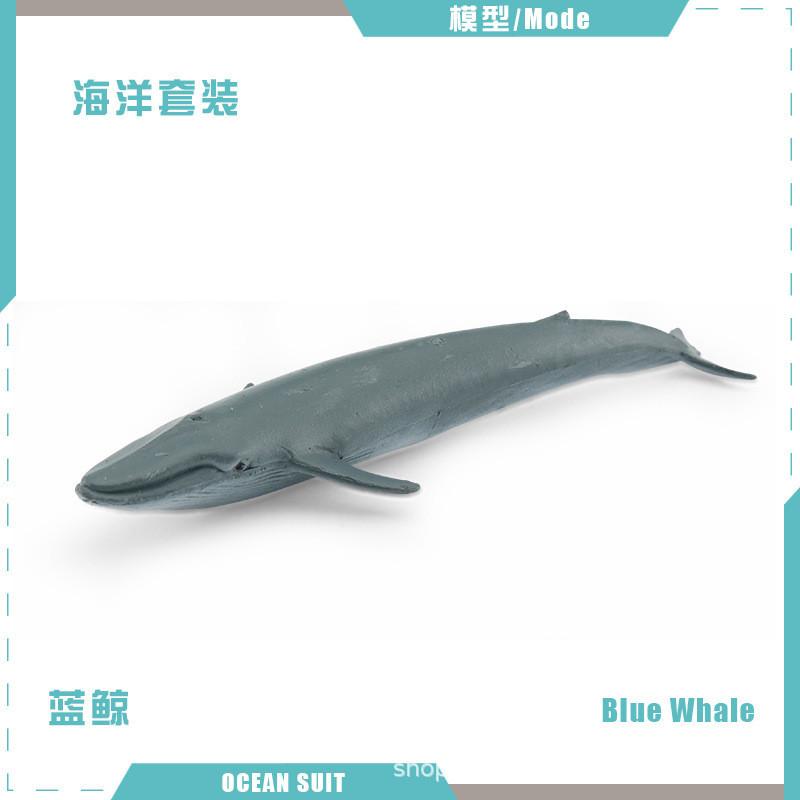 Realistic Ocean Animal Figurine Set Featuring Sharks Turtles Dolphins Penguins And Crabs For Kids And Collectors