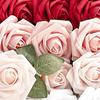 25Pcs Foam Rose Bulk with Wedding Bouquets Centerpieces Bridal Shower Party Home DIY Artificial