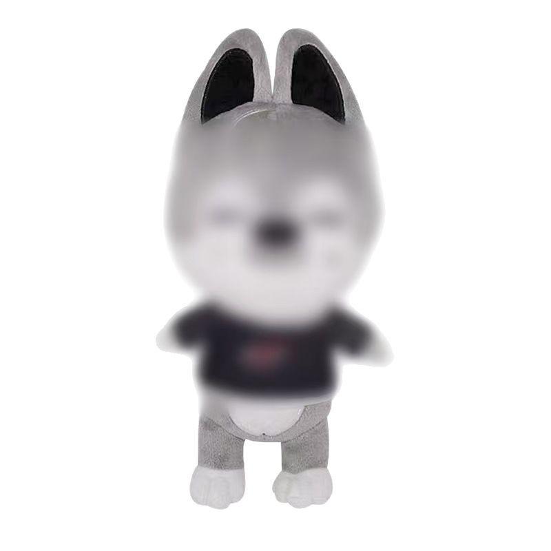 Cross-Border Sportswear Plush Toys - SKZOO Dolls & Pendants for Homeless Children