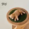 Kreatives Geschenk für Autoliebhaber 2 Stück Schlafender Harzhund Figur, Niedliche Welpen Armaturenbrett Dekoration Exquisite Tier Skulptur Frauen, Mini Beruhigende Statue Schreibtisch,