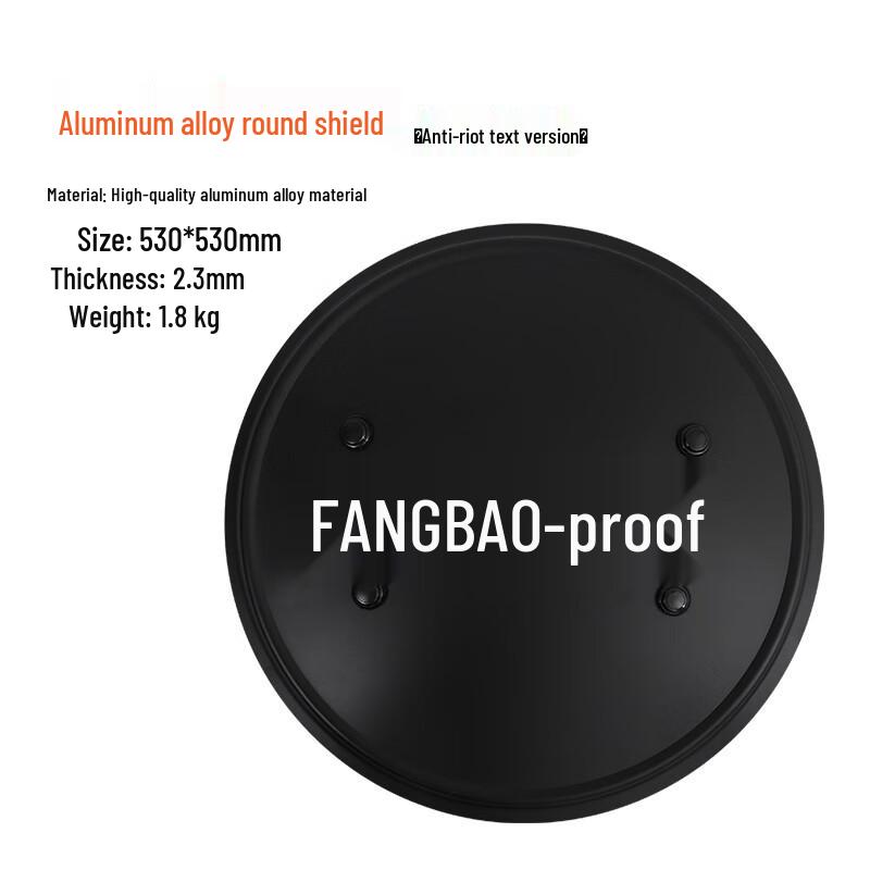 Metal Anti-Riot Security Shield 1