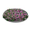 Matérias-primas e materiais – Pedras decorativas para jardim