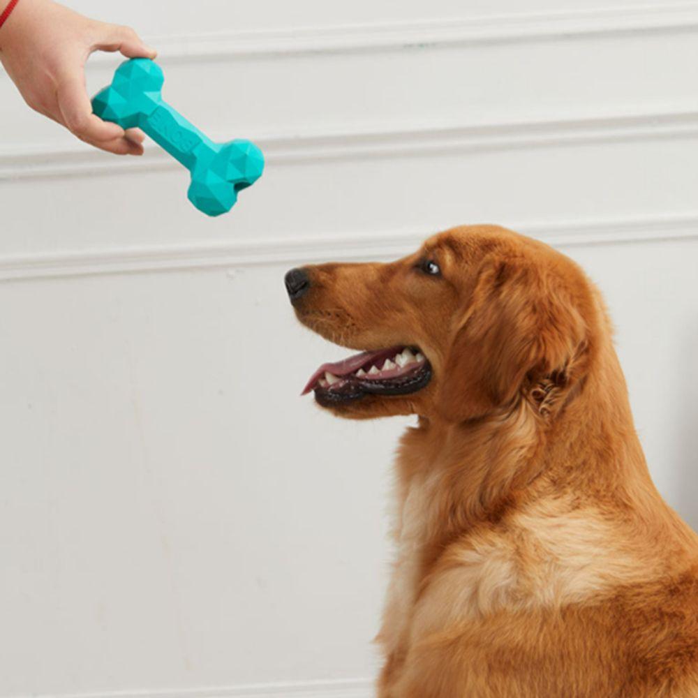 Rubber  Shaped Bone Toys Bite-resistant Pet Chew Toy Pet Leaky Food Bone Toy  Gift