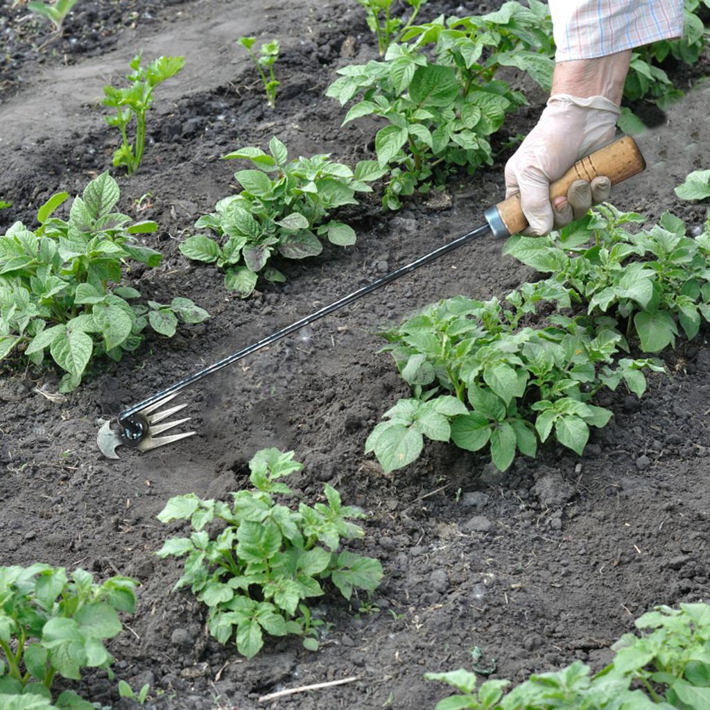 Unkraut-Artefakt-Entwurzelungs-Unkraut-Werkzeug, hochwertiger geschmiedeter Abzieher aus Manganstahl mit 4 Zähnen, hochfestes Handentferner-Werkzeug für den Garten