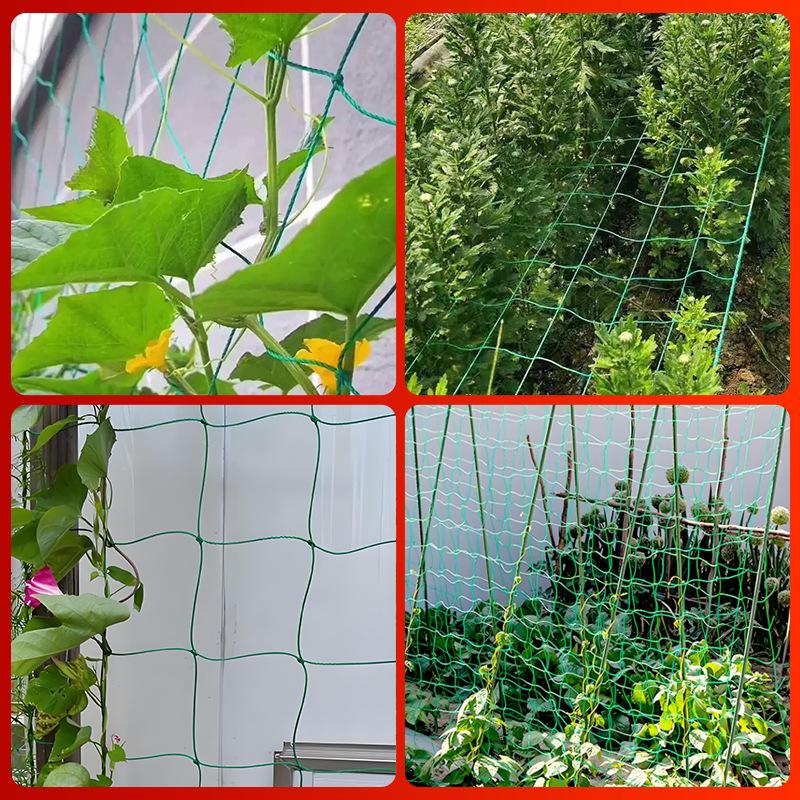 Overlock Plant Climbing Net for Vines, Grapes, Cucumbers, Melons, Fruits, and Vegetables