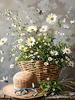 Oil Painting By Numbers Flower Chair Coloring By Numbers Vase Digital Painting Daisy Canvas Handpainted Coloring DIY Kit Gift