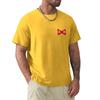 Red Ribbon Army TShirt Blouse Aesthetic Clothes Plain Tshirts for Men