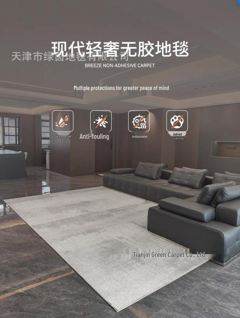 Antibacterial Waterproof Wash-Free Minimalist Luxury Living Room and Bedroom Rug