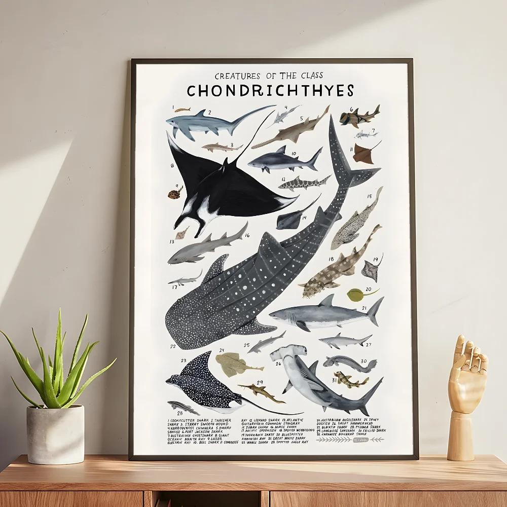 Whale and Shark Seashells Turtles Octopus Fish Marine Life Ocean Animals Poster and Print Canvas Painting  Wall Art Home Living Room