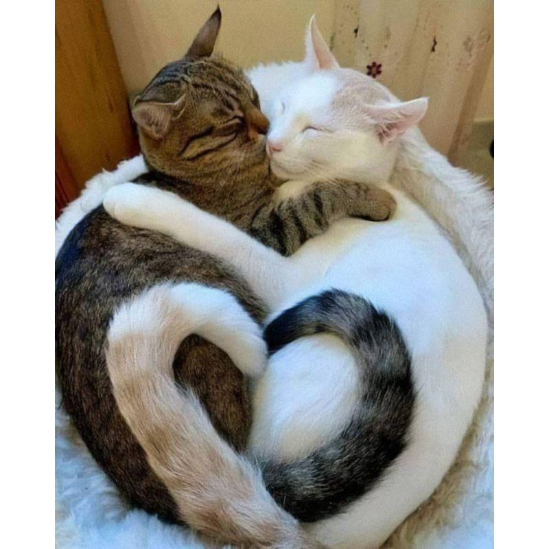 

Алмазная картина, вышивка крестиком, полная дрель, мозаика, Алмазная вышивка, мозаика со стразами, подарок, домашний декор, набор для рукоделия Full Round 20x25CM