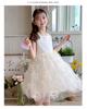 Girls' Dress 2026 New Style Princess Style, Big Children's Mesh Cake Skirt, Summer Fluffy Vest Skirt