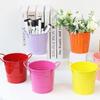 Mini Pencil Bucket Desktop Pencil Cup Makeup Brush Organizer Small Metal Buckets with Handle for Home and Home Indoor