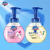 Safeguard Foaming Hand Wash, Cherry Blossom & White Tea, 300g X 2 Pack