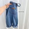 Vaqueros para niños primavera/otoño 2024: Monos de moda y pantalones sencillos para niñas
