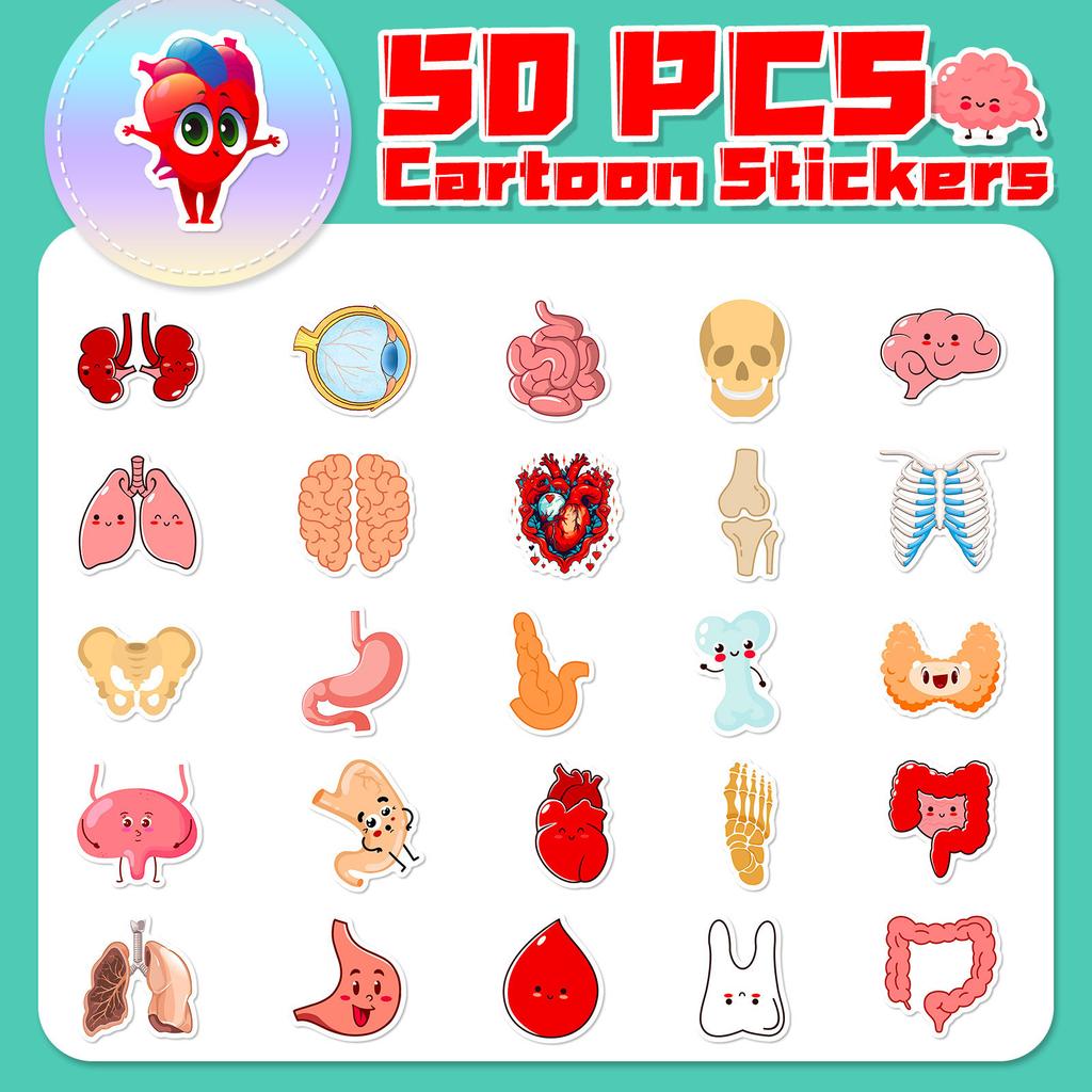50 Cute Human Organ Stickers for Decorating Cartoon Human Organ Children's Early Education Stickers