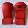 Longchan Adult Karate & Combat Sports Gloves