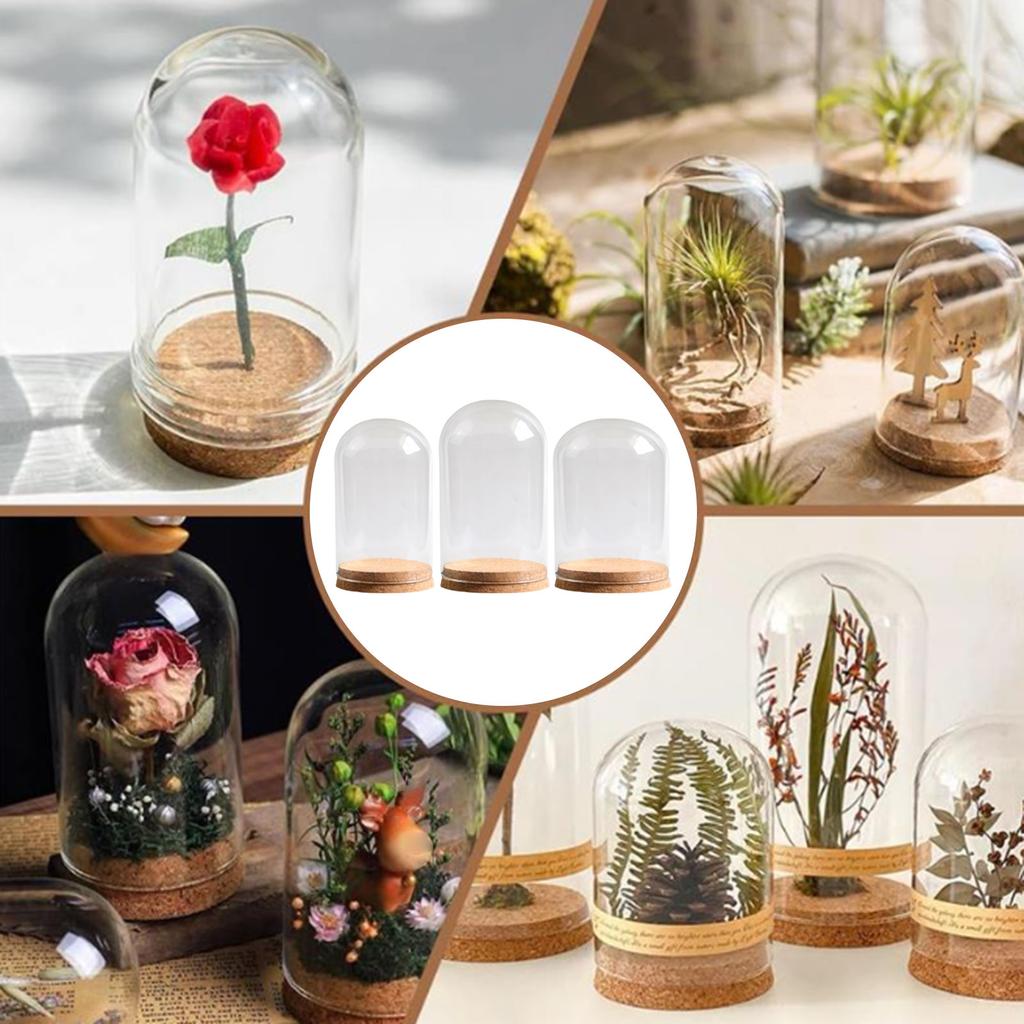 Sada 2 Mini Sklenených Klenbových Zvonov s Korkovou Podstavou Sklenené Zvončeky Nádoba Teráriá Vystavovacie Fľaše na Skladovanie Kvetov Umelecká Expozícia