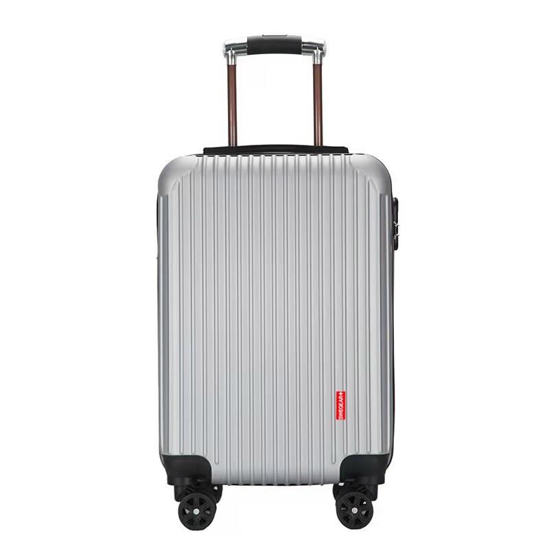 SWEGEAR+ 20-inch Business Carry-on Luggage