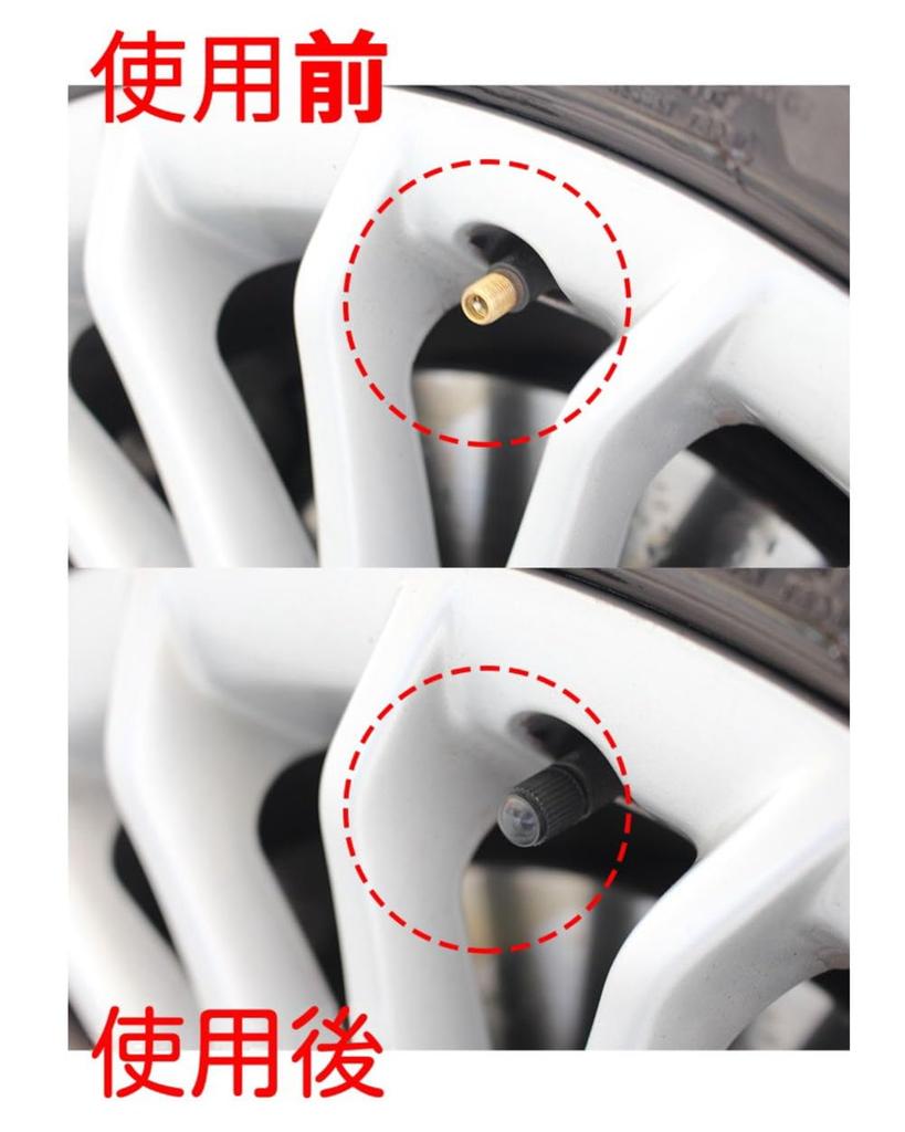 Bk-20s Air Valve Cap for Automobiles [With Sealed Gasket Ring] Resin Black [Set of 12]