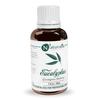 Naturalis Eucalyptus Oil Essential Oil - Pure Eucalyptus Essential Oil For Aromatherapy, Skin & Hair Care, Massage - 30Ml